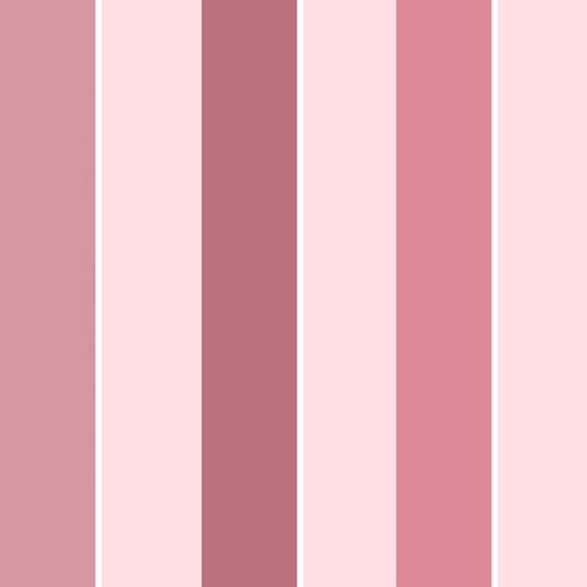 Bold Stripes Blush & Pink