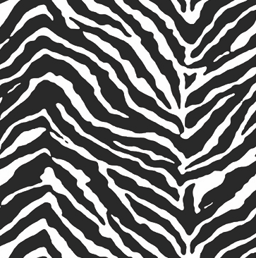 Zebra Print Adhesive Floor/Wall/Window Vinyl – Jes Rose