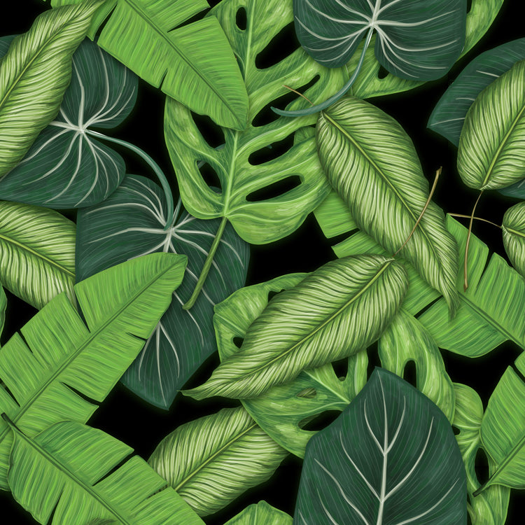 Botanical Leaves Black Adhesive Floor/Wall/Window Vinyl – Jes Rose