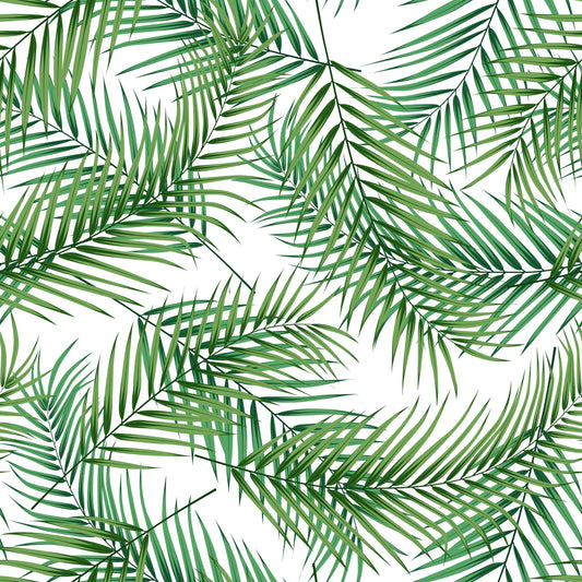 Palm Leaves Samples